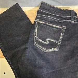 Silver Jeans Indigo Elyse Straight Jeans